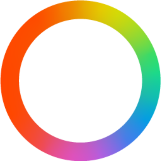 Payoneer Logo